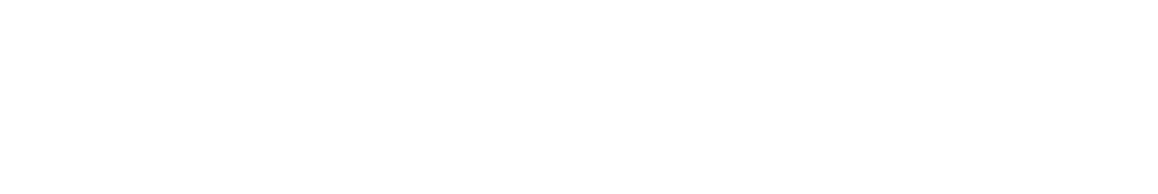 orandke IT